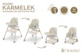 DZIECIĘCE KRZESEŁKO DO KARMIENIA KARMELEK 4W1 BEŻOWE